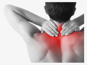 Pain In The Neck Png Hd - Fibromyalgia: Perspectives And Advances #1258385