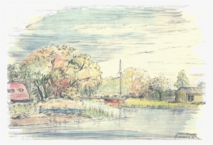 Spring Creek Essex - Neck #1258472