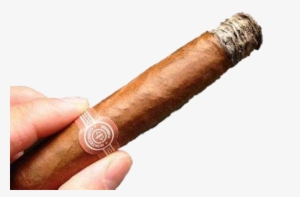 Cartoon Cigar Png Svg Royalty Free Download - Puros Png #1258495
