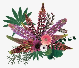 Clip Library Library Painted Vivid Png Free Download - Portable Network Graphics #1259643