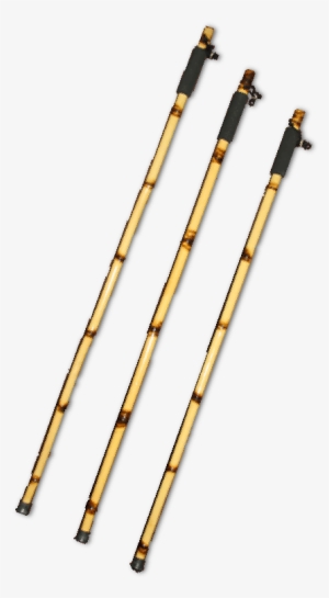 Ni 'au Walking-sticks - Gif #1259765