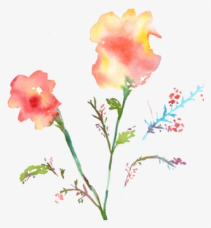 Vanessa - - Painting Flowers On White Or Transparent Backgrounds #1260433