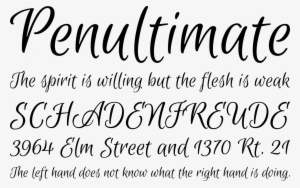 Euphoria Script Font Phrases - Euphoria Script Font #1262228