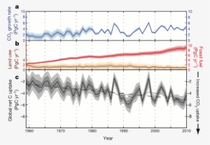 Sinks For Caroline - Stomatal Conductance #1263025