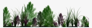 Plants Png - Arboles Y Plantas Png #1263496