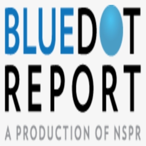 Blue Dot Logo - Oval #1264102