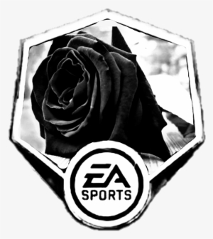 Base Luto - Fifa 11 #1264411