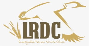 Png Logo Download - Logo #1264626