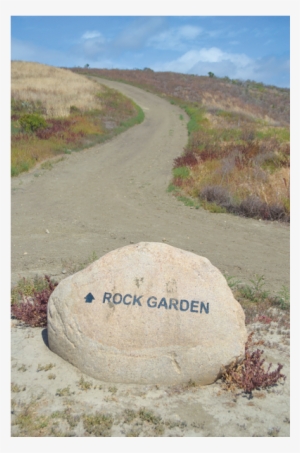 Sc Trails [6 Images] Click Any Image To Expand - Dirt Road #1265150