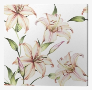 Clip Art Freeuse Library Amaryllis Drawing Lilly - Dibujar Lirios #1266558