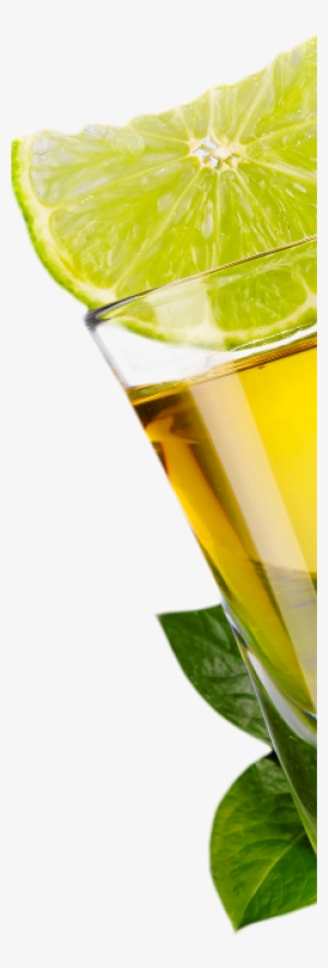 Shots - Avocado #1266921