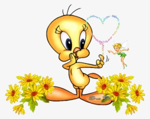 Espacio De Fernanda - Imagen Movibles Para Diapositiva #1268486