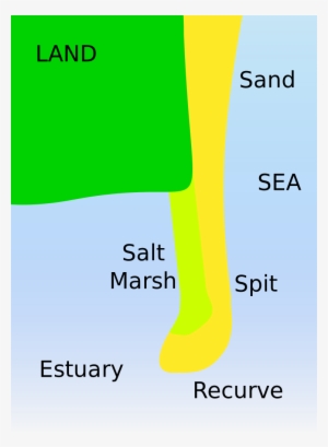 File - Spit Diagram - Svg - Diagram Of A Spit #1271714