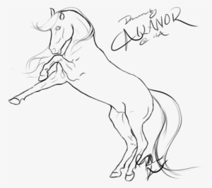 Rearing Horse Lineart By Ailanor - Drawings Of Horses Rearing #1272516