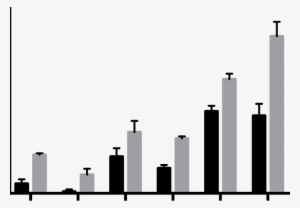 Live Coral At Six Replenished Plots At Lbcnp, In 2014 - Ptgs1 #1272798