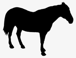 Horse Standing Silhouette - Silhouette Horse Drawing #1272915