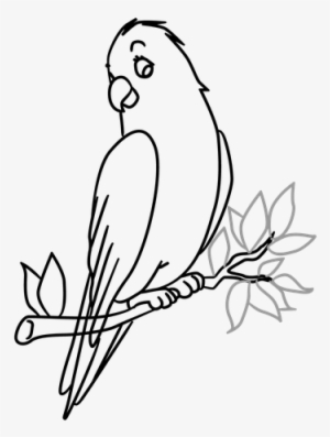 Drawn Brds Tree Drawing - Bird In A Tree Drawing #1273001