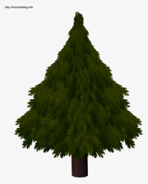 Christmas Tree Drawing Realistic Com Free For Realistic - Christmas Tree #1273074