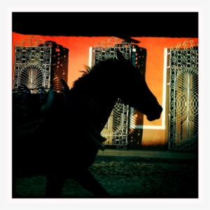 Horse Silhouette, Cuba - Stallion #1273276