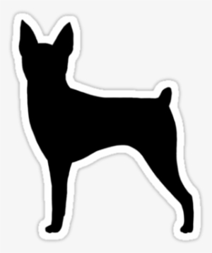 Fox - Toy Fox Terrier #1274138