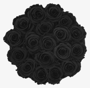 Prev - New York City #1275644