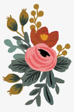 Rosa - Rosa - Rosa - Rifle Paper Co Flowers #1275696