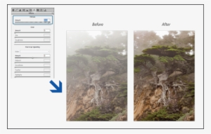 Dehaze - Point Lobos #1275996
