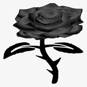 Here At Black Rose We Offer A Unique Selection Of Products - Garden Roses #1276392