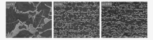 Microstructures Of The Conventional Material (12 - Cobblestone #1276766