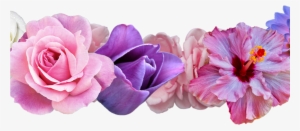 Daisy Flower Crown Tumblr Transparent Crazywidowinfo - Transparent Background Floral Crown Png #1276934