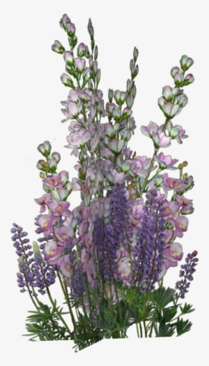 Pin By Jadwiga On Kwiaty Transparent - Flower #1277160