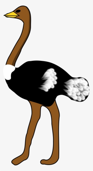 Ostrich Png #1279106 Ostrich Png #1279106