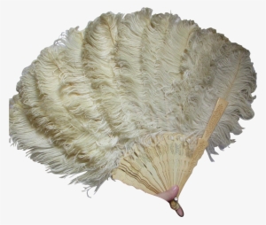 Victorian Edwardian Ladies Ostrich - Feather Fan Transparent #1279395