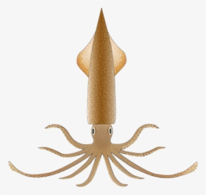 Spear Squid - Giant Squid #1279518