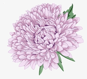 Delicate Purple Hand Drawn Chrysanthemum Decorative - Moutan Peony #1279615
