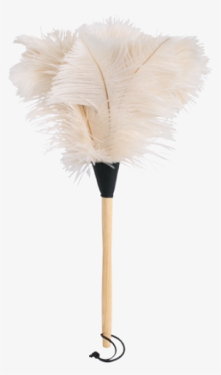 Ostrich Feather Duster - Feather Duster #1279665