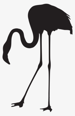 Png Download Flamingo Silhouette Clip Art At Getdrawings - Flamingo Silhouette Png #1279689