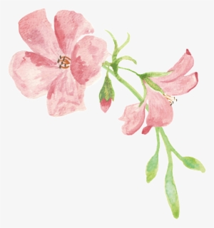 Portable Network Graphics #1279690