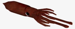 Squid - Giant Squid #1279822