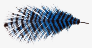 Fur Vector Ostrich Feather - Ostrich Feather Png #1279893