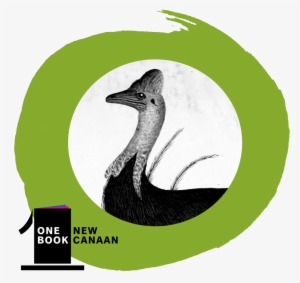 Venture Into The Strange, Wondrous, And Dangerous Animal - Wood Duck #1280012