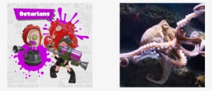 While The Inklings And Octarians Don't Get Along In - Big Squid By Marco Martoia - Concert Band Sheet Music #1280068