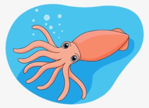 Squid #1280106