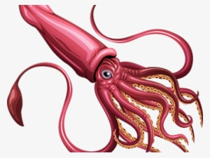 Squid Reference #1280149