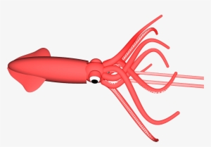 Colossal Squid #1280332