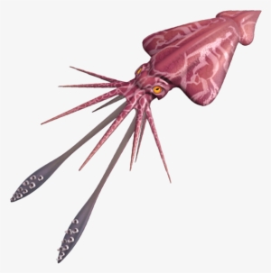 Colossal Squid - Moths And Butterflies #1280531