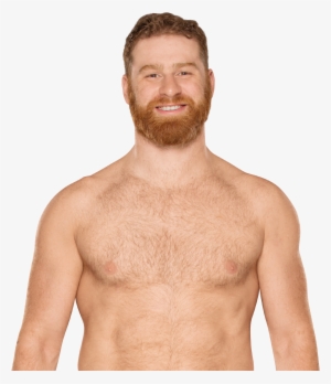 Sami Zayn #1281182