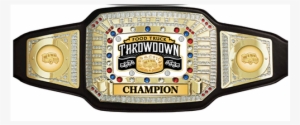 Championship Award Belt #1282078