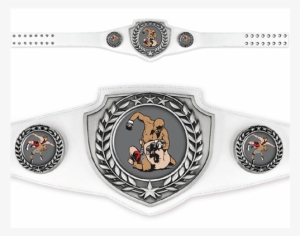 Custom Championship Belt #1282105