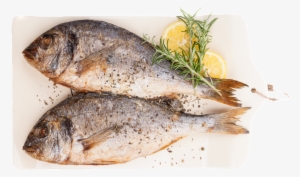 Grilled Fish Food Transparent Buckle Free Decoration - Alose A L Oseille #1282540 Grilled Fish Food Transparent Buckle Free Decoration - Alose A L Oseille #1282540